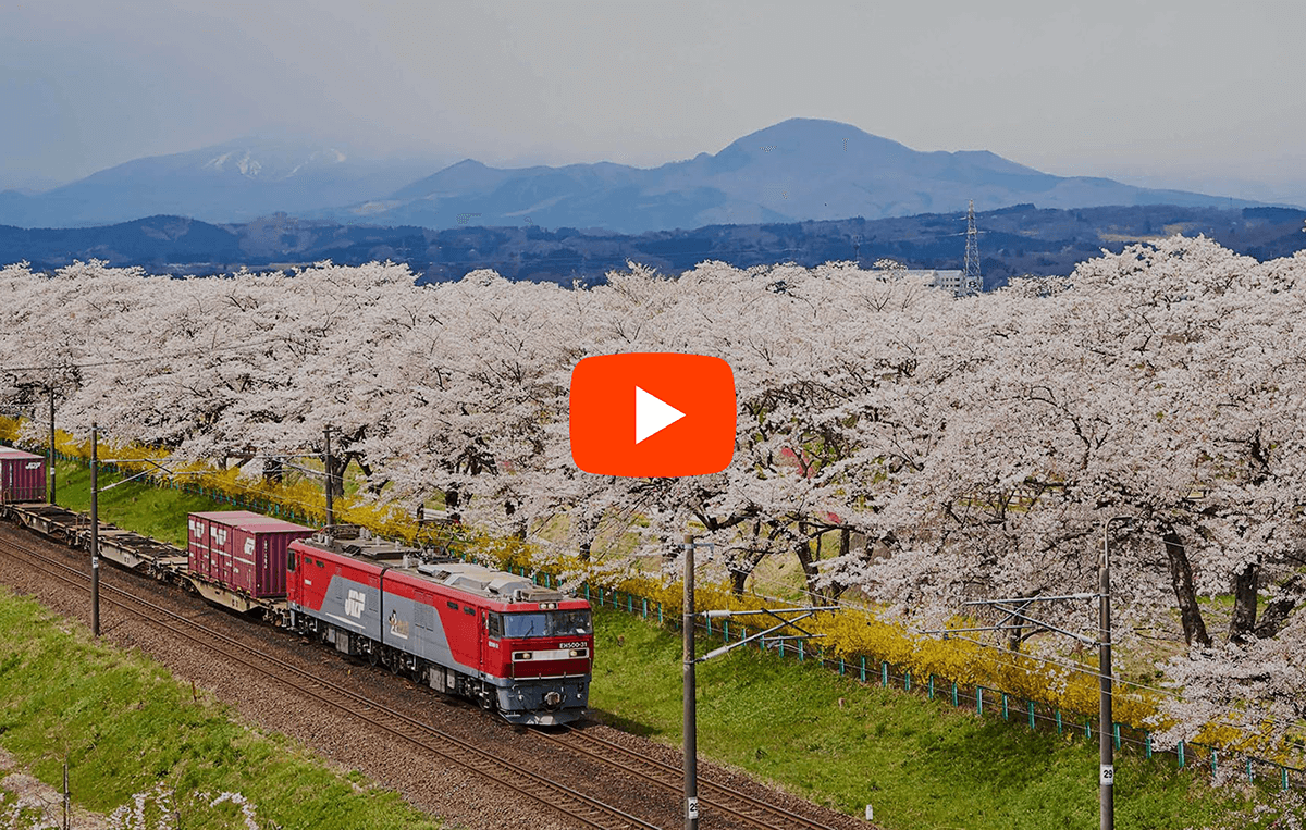 8周年記念イベントが 0517鉄318 1鉄道カタログJR貨物 コンテナ利用案内 梅小路駅 平成6年 送料180円